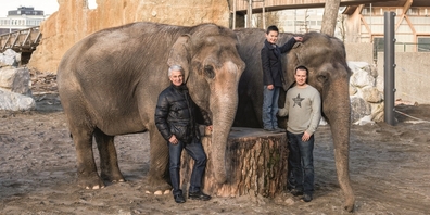Franco Knie sen., Franco Knie jun., Chris Rui Knie mit Delhi (†, l.) und Ceylon im Elefantenpark Himmapan in Knies Kinderzoo, Rapperswil.