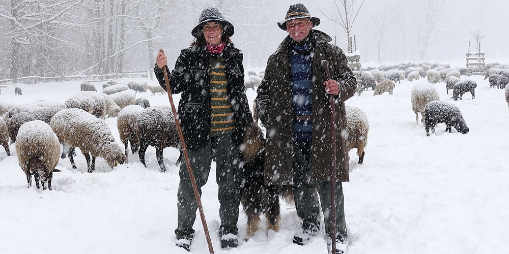 Wanderschäfer Thomas Landis mit Gefährtin Heidi und den 500 Schafen (Bilder: Ulrike Huber)