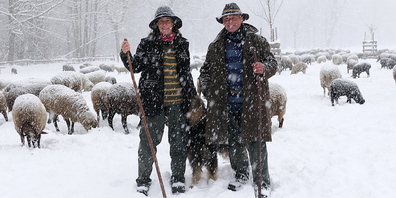 Wanderschäfer Thomas Landis mit Gefährtin Heidi und den 500 Schafen (Bilder: Ulrike Huber)