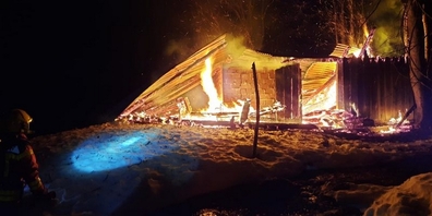 Die Feuerwehr konnte ein Ausbreiten des Feuers auf den nahen Wald verhindern