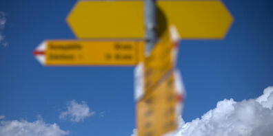 Rechts, links oder gerade aus? Unter Stress entscheidet sich das Gehirn oftmals für die falsche Option. Wissenschaftler haben nun die zugrundeliegenden neurologischen Mechanismen im Maushirn aufgedeckt.