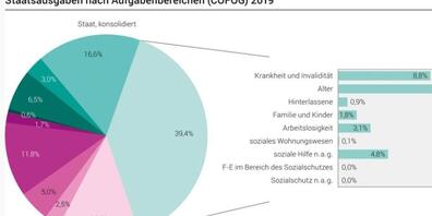 Die Staatsausgaben sind 2019 gegenüber dem Vorjahr um 1,5 Prozent auf knapp 238 Milliarden Franken gestiegen. Die Verteilung blieb sich praktisch gleich. (BFS)