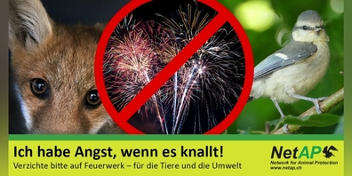 Inserat. (Symbolbild)