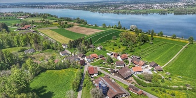 Unterhalts- und Aufwertungsarbeiten machen die Erholungszonen am Greifensee auf dem Gemeindegebiet von Maur wieder besser zugänglich.