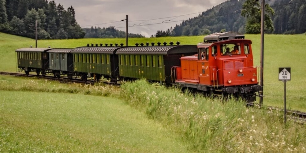 Die zwei letzten Em 3/3-Lokomotiven, die bei der SBB noch im Einsatz standen, wurden vom DVZO übernommen.