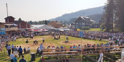 Die malerische Schwingarena auf der Ricken-Passhöhe - Archivbild.