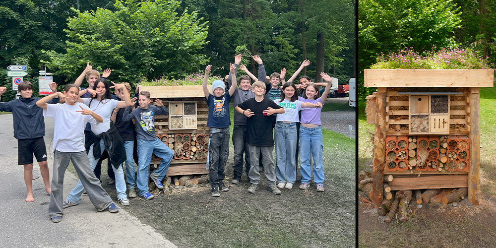 Ein Zuhause für Insekten und Symbol für gelebten Artenschutz: Mit Ästen, Heu, Rinde und viel Teamgeist gestalteten Schülerinnen und Schüler auf dem Campingplatz Bad Ragaz einen Lebenswürfel.