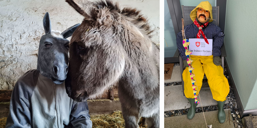 Links: Esel von Andreas Meier  Rechts: Parodie von Steffie Erzinger