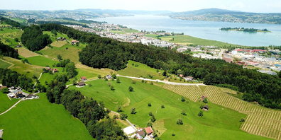 Die Landschaftskammer Tal–Talweid–Weingarten–Joch. Hierfür soll ein kommunaler Schutzzonenplan erlassen werden.