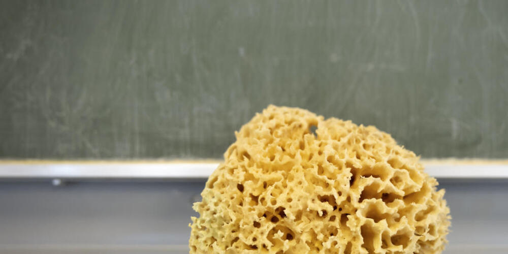 Die Schülerzahlen steigen an den Thurgauer Volksschulen weiter an. (Symbolbild)