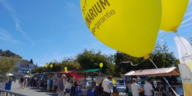 Nach der Absage 2024 wegen zu wenig Standbetreibern kehrt der regio-markt dieses Jahr wieder auf den Rapperswiler Seequai zurück.