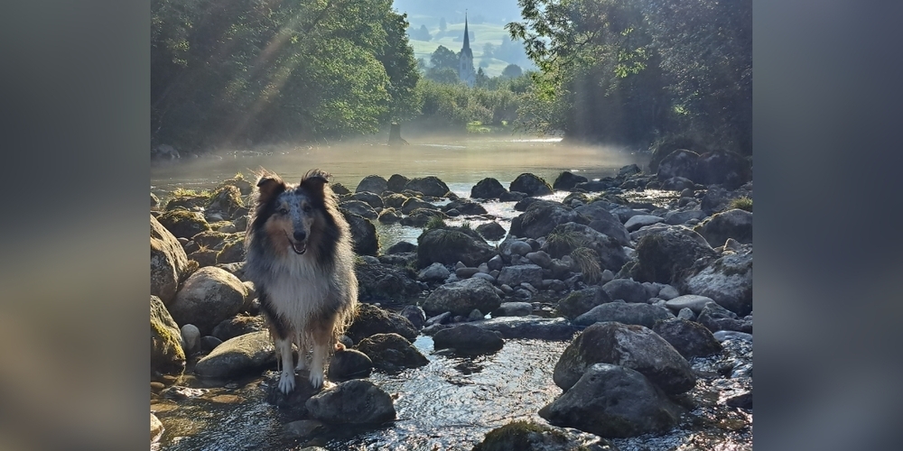 Nesslau an der Thur heute Morgen.