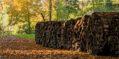 Gemäss IG Holzwärme Hinwil könnten 1’000 Haushalte umweltfreundlich mit örtlichem Holz beheizt werden.