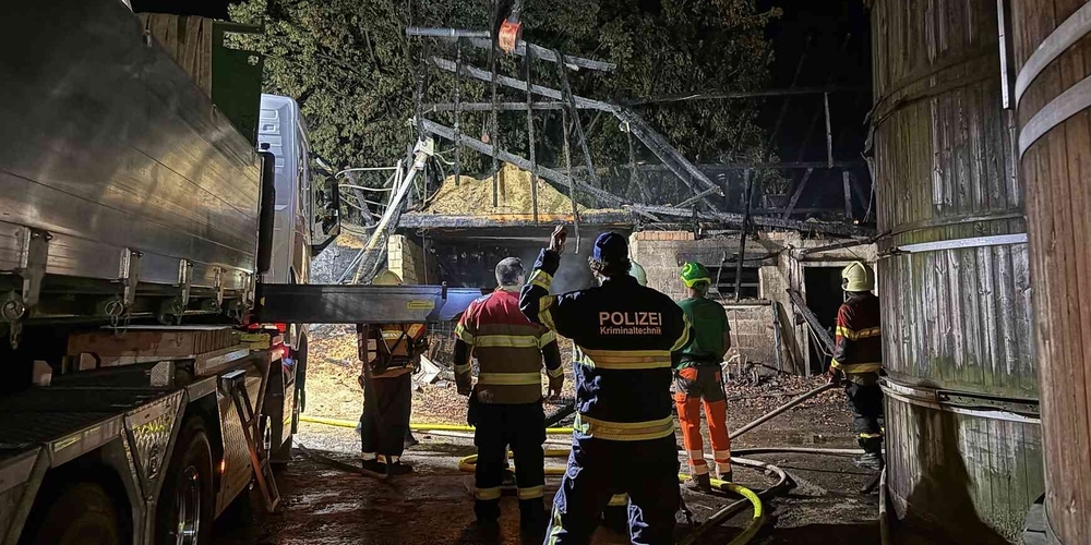 Die Ursache des Stallbrandes in Wangen, der zum Tod von rund 200 Legehennen führte, ist Gegenstand von Ermittlungen.