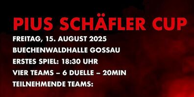 Die Teams aus der Region messen sich kurz vor dem Saisonstart.