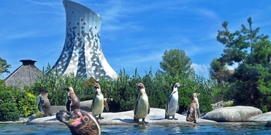 Vorfreude: Am kommenden Samstag startet die Saison des Kinderzoos.
