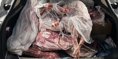 Ein Syrer wollte mit über 300 Kilogramm ungekühltem und unverzolltem Fleisch in den Kanton St.Gallen einreisen.