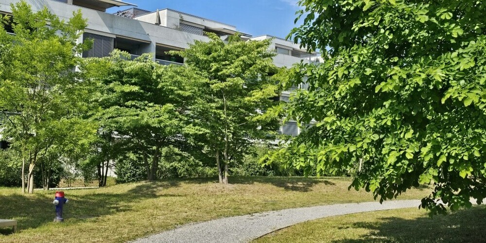 Die Mehrheit des Kantonsrats will nicht, dass die Klimastrategie dem Energiegesetz angepasst wird. In diesen stehen nämlich unterschiedliche Netto-Null-Zeitpunkte - 2040 und 2050. (Symbolbild)