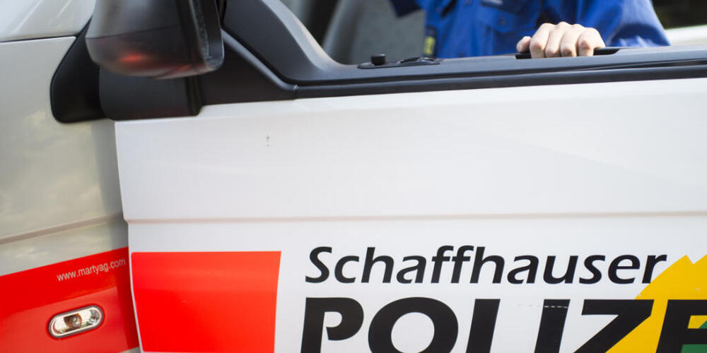 Nach Angaben der Schaffhauser Polizei, ist die am Dienstag geköpft aufgefundene Katze Opfer eines Wildtiers geworden. (Symbolbild)