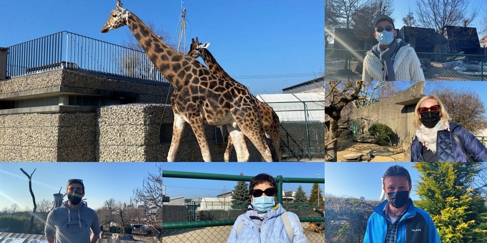 Toggenburg24 befragte Besucher in Knies Kinderzoo, was sie am schönsten an der Öffnung des Zoos finden.