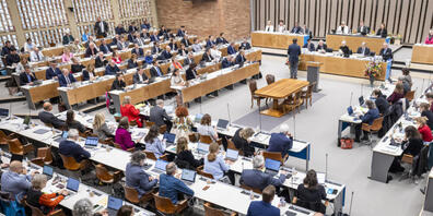 Babys dürfen neu im Saal des Kantonsrats Zürich dabei sein. Alleridngs dürfen Parlamtarierinnen sie nur für Abstimmungen mitnehmen. (Symbolbild)
