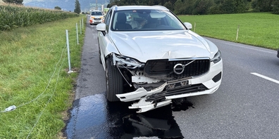 Auf der Landstrasse zwischen Niederurnen und Bilten sorgte eine Wespe im Auto für einen Unfall ohne Verletzungs-, aber mit Sachschadenfolgen.