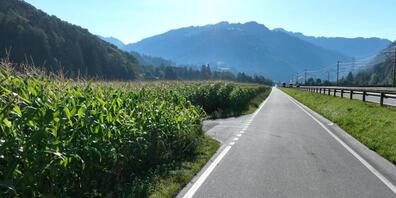 Der Autofahrer kam vom Feldweg her auf die Nebenstrasse und beschleunigte in Richtung Schiers, als ihm der Velofahrer hinten auffuhr.