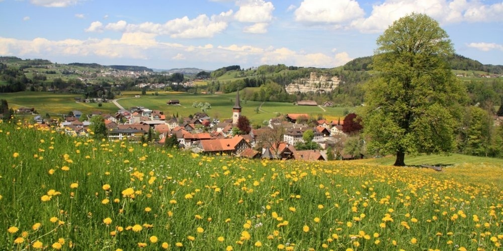 Frühlingsbild (Symbolbild)