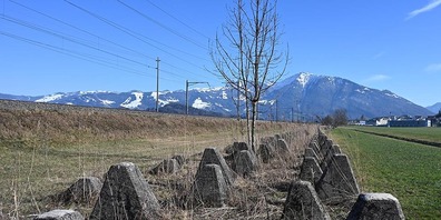 Aufgrund ihrer Form werden Panzersperren im Volksmund auch «Toblerone» genannt. Sie sind sehr massiv und unterirdisch miteinander verbunden. Sie zu entfernen würde sehr viel Aufwand kosten, weshalb viele von ihnen noch stehen.