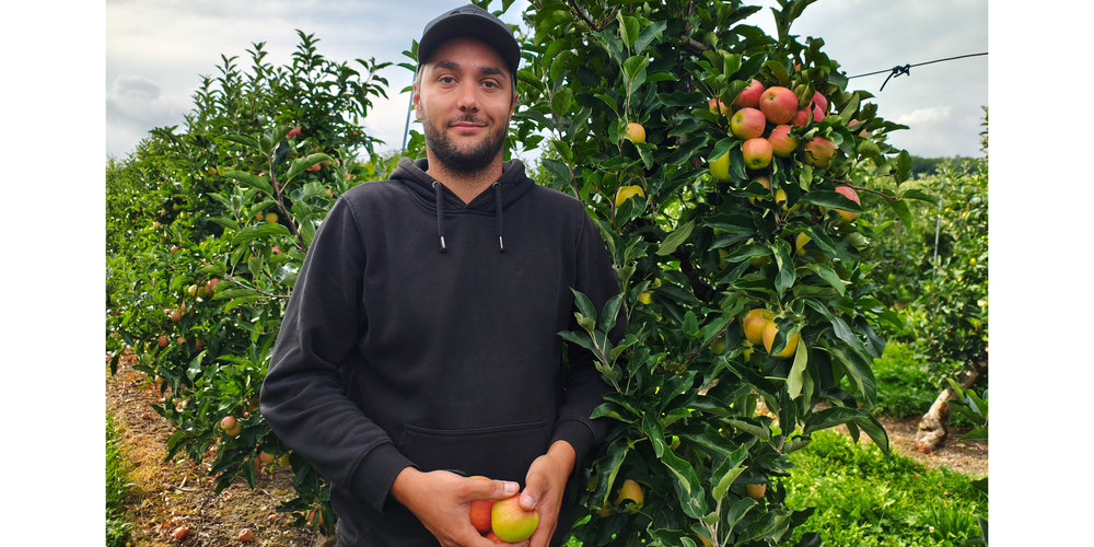 Mitten in der Erntezeit: Hendrik Güntert kennt jeden Baum auf seinem Hof in Büsingen – und liebt die Arbeit mit der Natur.