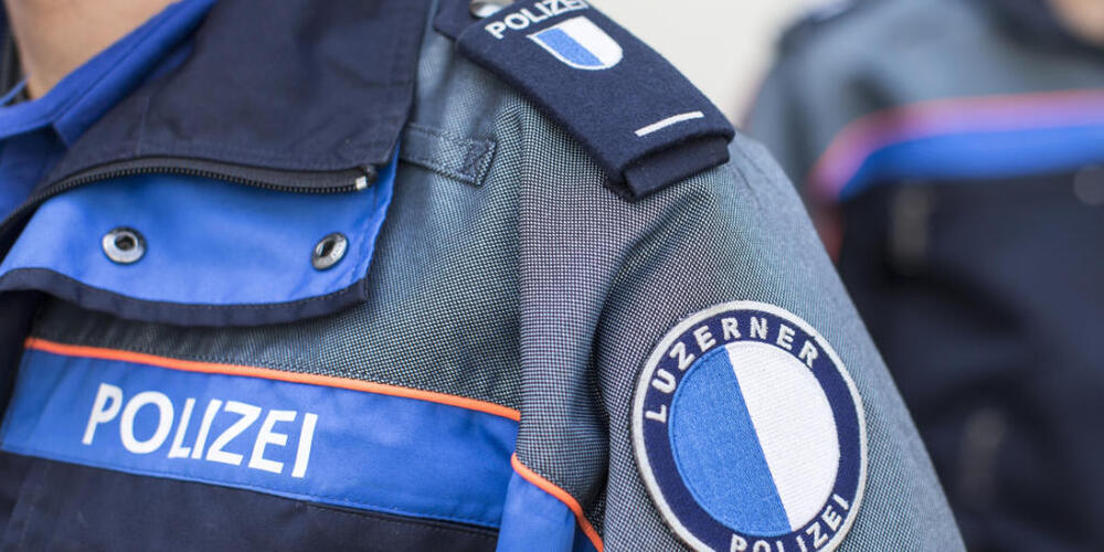Die Luzerner Polizei sucht die Person, die den Lieferwagen lenkte, der am Montagabend in Littau einen Hund überfuhr. (Symbolbild)