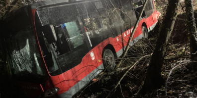 Der Bus von «Stadtbus Dornbirn» ist von der Bödelestrasse abgekommen und in den Wald gestürzt