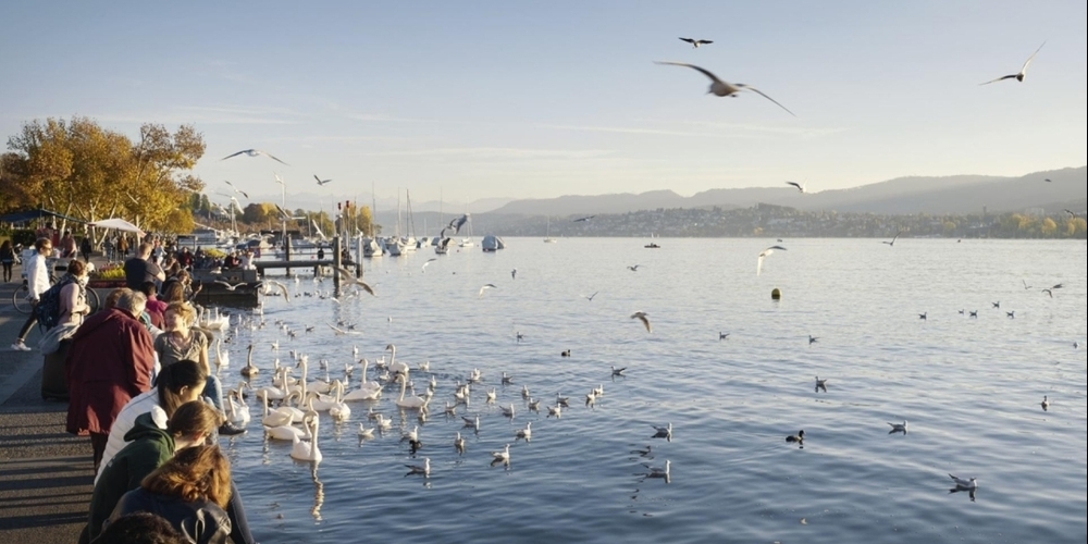 Wird der Zürichsee je von einem Tunnel unterquert? Das Projekt liegt schon lange in der Schublade.