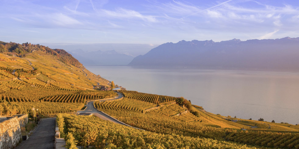Lavaux im Herbst