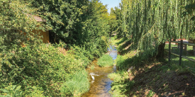 Die Uze ist wie jeder Bach wichtiger Lebensraum. Die Qualität der Gewässer und die Frage, mit welchen zusätzlichen Massnahmen sie verbessert werden kann, ist Teil des Generellen Entwässerungsplans.