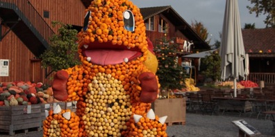 Dieses Jahr dreht sich auf dem Juckerhof alles um Spiele.