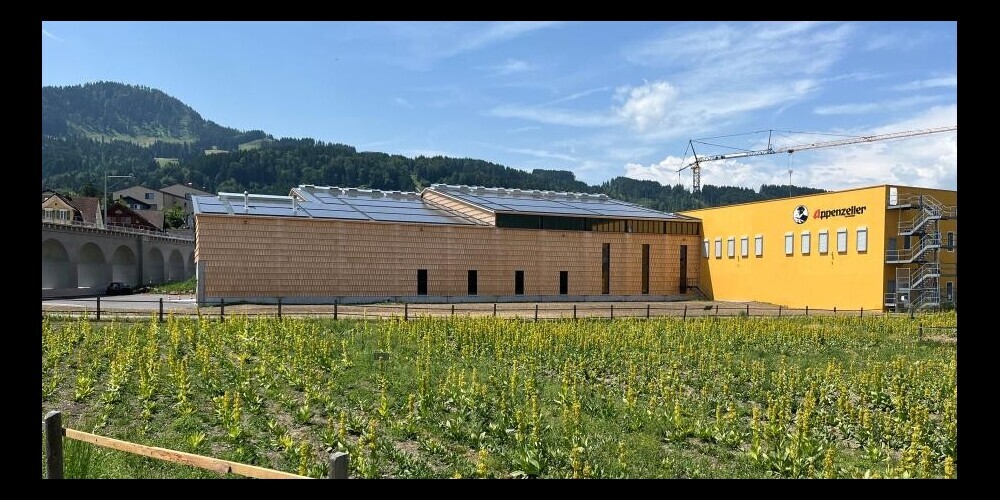 Die hölzerne Hülle der neuen Lagerhalle nimmt dem enziangelben Bau die industrielle Scharfkantigkeit.