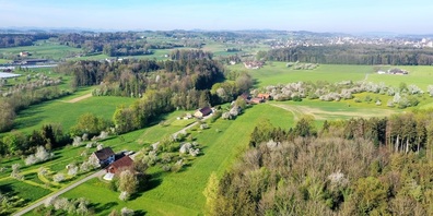 Blick auf den Landschaftstyp «strukturreiche Obstlandschaft» in der Gemeinde Egnach.