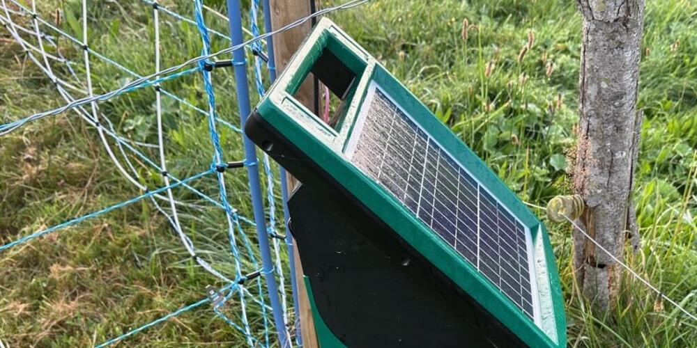 Im Kanton Appenzell Ausserrhoden verschwanden in den letzten Tagen mehrere Weidezaunapparate. (Symbolbild)