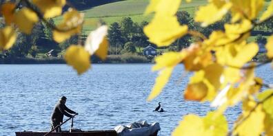 Im Thurgau sollen in Zukunft bereits Zehnjährige fischen dürfen. Die Regierung will das Mindestalter für die Fischereibewilligung senken (Symbolbild).