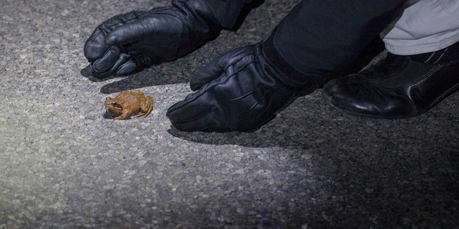 Helferinnen und Helfer gesucht