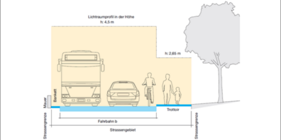 Überhängende Äste und Sträucher müssen bis Ende Oktober zurückgeschnitten werden, damit Strassen und Gehwege sicher bleiben.