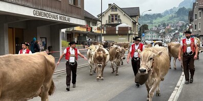 Zu Fuss kommen alle zum Viehschauplatz Berstel