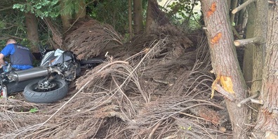 Die Fahrt mit dem Bike endete im Baum.