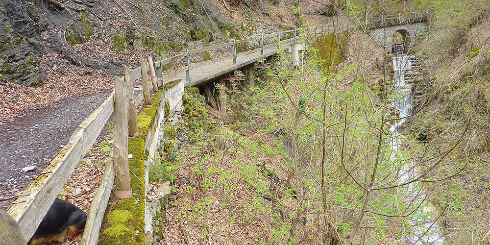 Der Waldweg im Litzitobel bei Mastrils wird saniert.
