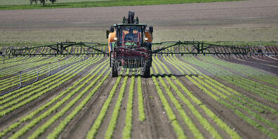 Zwei Mal Ja: Mehrere Umweltorganisationen haben ihre Abstimmungskampagne für die Trinkwasser- und die Pestizidverbotsinitiative lanciert. (Themenbild)