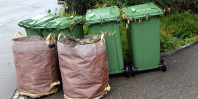 Grünabfuhr (Symbolbild)