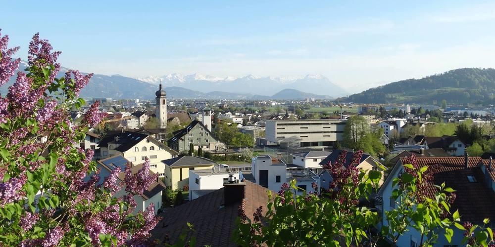 Mit den Legislaturzielen 2021 bis 2024 fördert der Gemeinderat die Weiterentwicklung der Gemeinde Au.