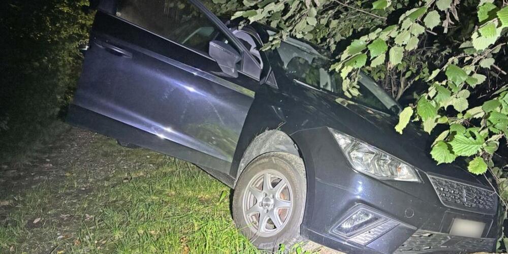 Der Fahrer kam mit seinem Fahrzeug von einem Waldweg ab.