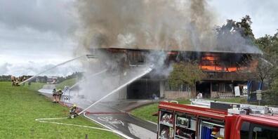 Grosser Sachschaden, aber keine Verletzten beim Brand eines Ökonomiegebäudes in Roggwil im Thurgau.